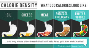 science-based-weight-loss chart showing that 500 calories of oil barley fills your stomach were 500calories of veggies can more than fill your stomach