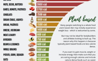 Science-based  Weight Loss Tips