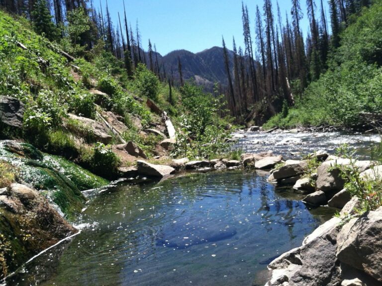 Rainbow Hot Springs 1 768x576