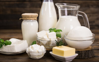Dairy Consumption and Cancers of the Prostate and Colon: Exploring the Link