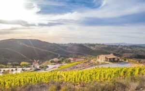 Overlooking the vineyards at Cal-a-Vie Health Spa in Vista, California.