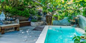 Guests enjoying the serene, natural hot springs at Harbin Hot Springs surrounded by Northern California's lush landscapes.